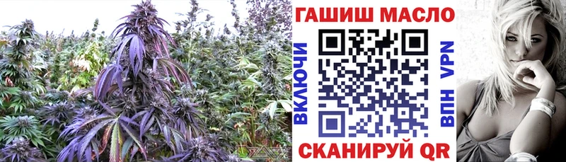ТГК Wax  где найти наркотики  Новый Уренгой 