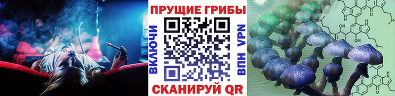 Псилоцибиновые грибы Psilocybe  Новый Уренгой 