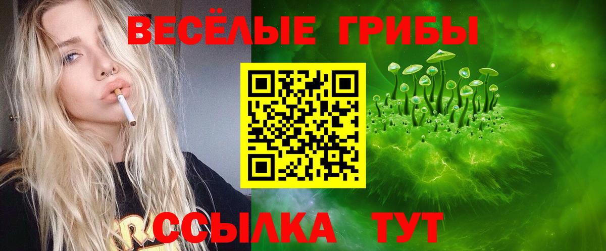 Галлюциногенные грибы прущие грибы Новый Уренгой