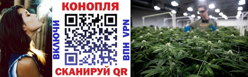 хочу наркоту  MEGA как зайти  это как зайти  Новый Уренгой  Каннабис OG Kush 